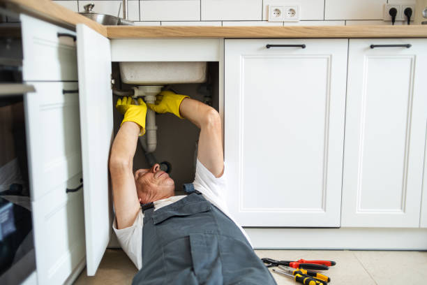 Best Garbage Disposal Repair and Installation  in Mohave Valley, AZ